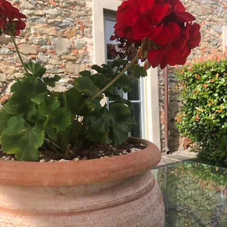 公寓式酒店 Tenuta Guinigi Antico Borgo Di Matraia - Exclusive Holidays & Pool